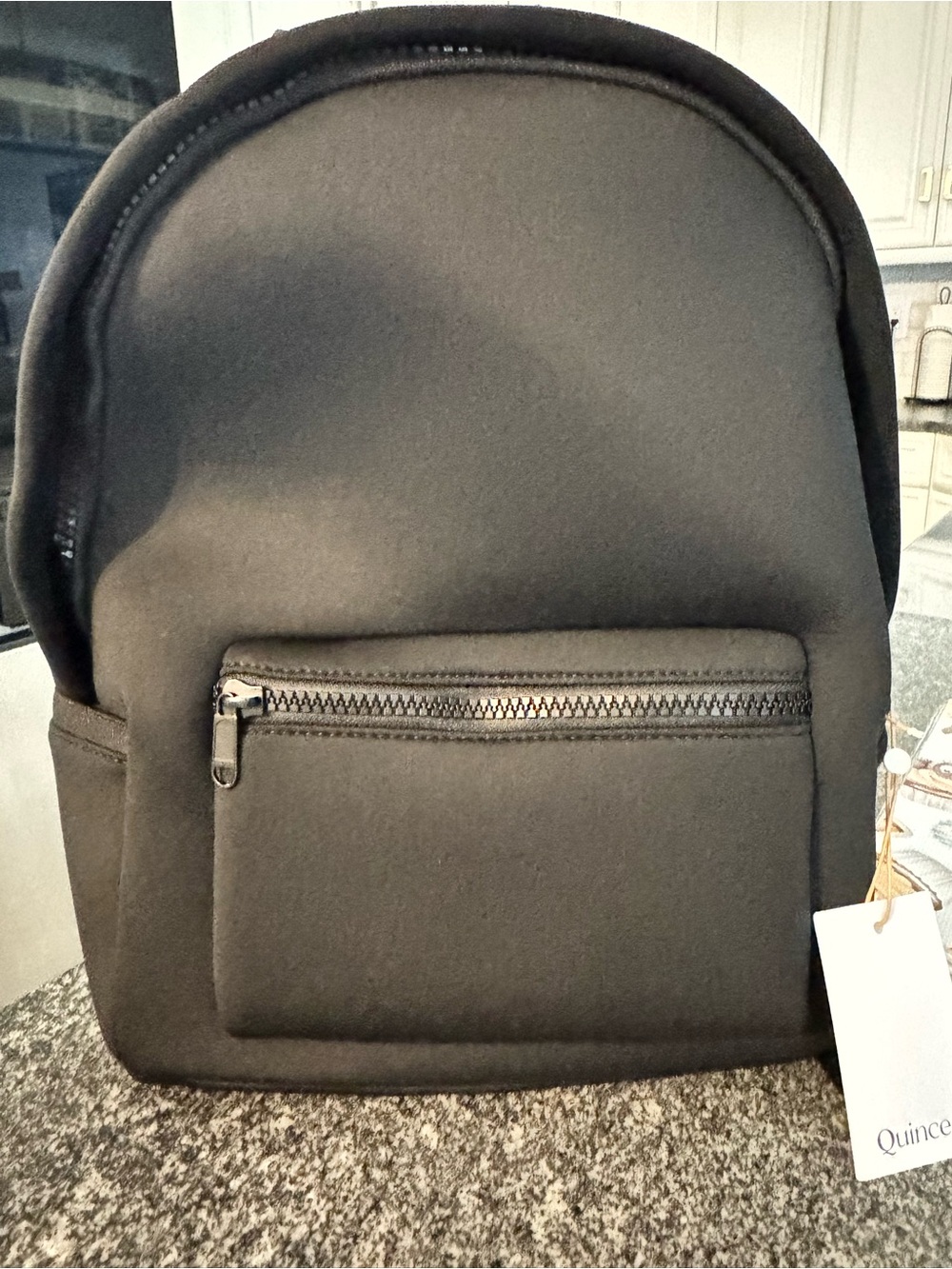 Quince All-Day Neoprene Backpack + Inside Purse/Pouch – Black NWT